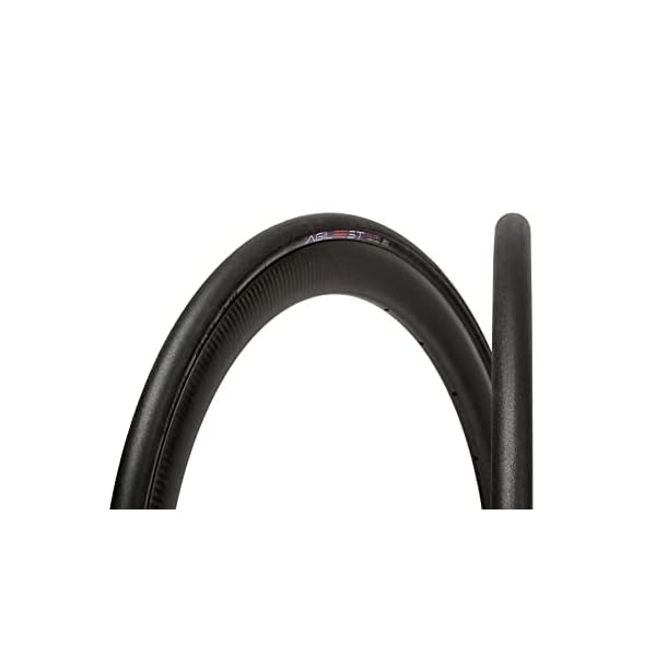 パナレーサー(Panaracer) 大騒ぎ商品目録 TLR 700×25C チューブレスレディ 黒 F725TR-AG-B