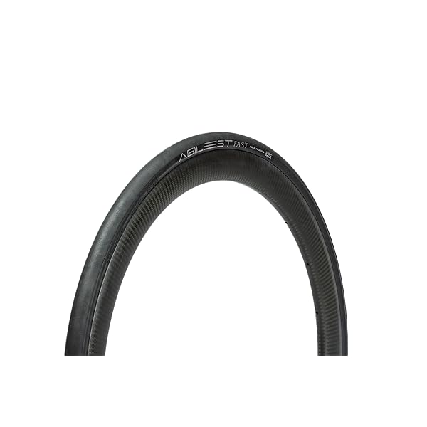 パナレーサー(Panaracer) 大騒ぎ商品目録 FAST 700×28C クリンチャー 黒 F728-AGF-B