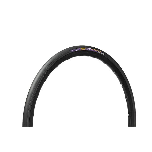 パナレーサー(Panaracer) 大騒ぎ商品目録 DURO TLR 700×28C チューブレスレディ 黒 F728TR-AGD-B