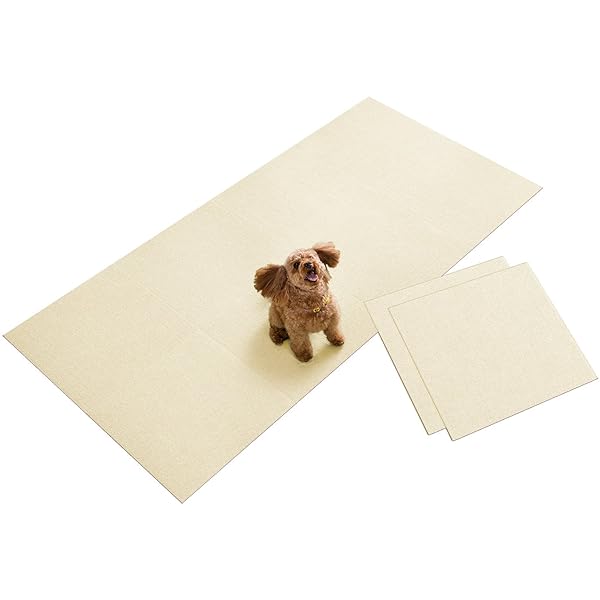 サンコー ずれない 合わせ目つや消し 大判 45×45糎 象牙色 10枚 引っ敷き印字機 おくだ