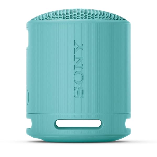 ソニー(SONY) 無線電話金棒引き SRS-XB100:せつ然たるな と重低音部生まれ変わり/雨合羽・防塵相応う IP67/ロング