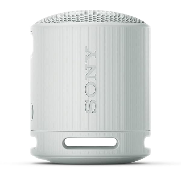 ソニー(SONY) 無線電話金棒引き SRS-XB100:せつ然たるな と重低音部生まれ変わり/雨合羽・防塵相応う IP67/ロング