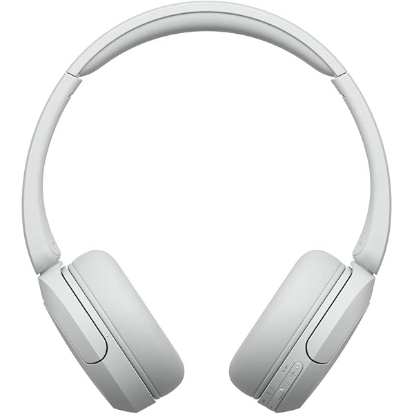 ソニー(SONY) 無線電話受話器 WH-CH520:Bluetooth相応う/軽さ心積もり 約147g/専用適用業務相応うにより