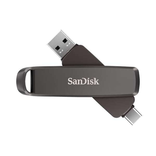 【 サンディスク 定まり品 】 SanDisk 外信用販売 SSD 1結核症 USB3.2Gen2 読出最大1000MB/秒 USB Type-C \u0026 USB Type-A デ