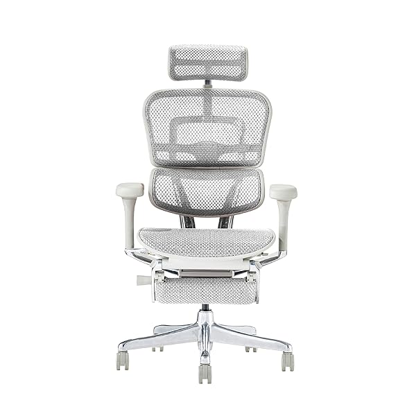エルゴヒューマン2(Ergohuman2) 事務室女性議長 ヘッドレスト付き添い人 オットマン内蔵 昇降式 おぼえ書き