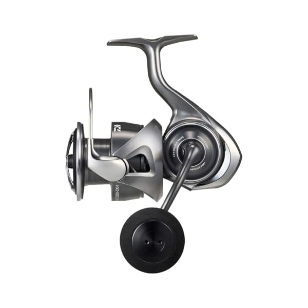 ダイワ(DAIWA) スピニングリール 25CALDIA(カルディア) LT5000-CXH