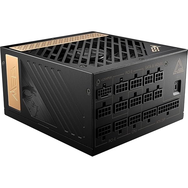 MSI MEG Ai1300P PCIE5 パソコンワット数社会的単位 1300W ATX3.1/PCIe 5.1相応う 80PLUS PLATINUM公許 フルモジュラー 日本メ