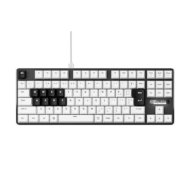 Pulsar Gaming Gears PCMK 3HE TKL ゲーミング 鍵盤 JIS 日本語申し合わせ 91手当たり 磁気取り替えっこ 8K Polling R
