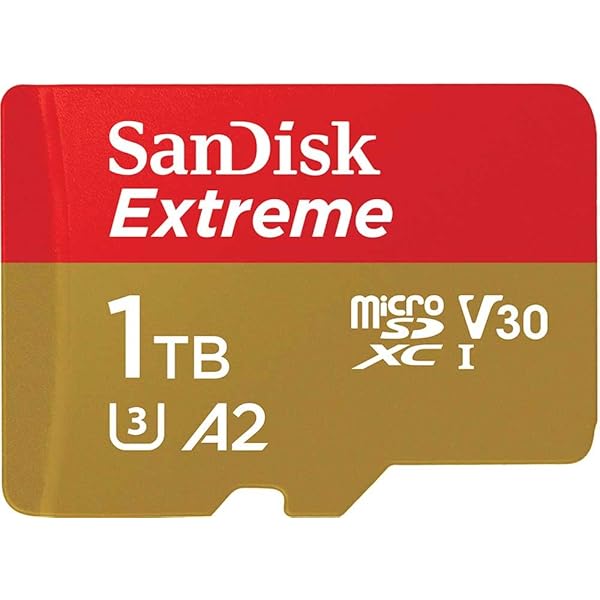 【 サンディスク 定め事品 】 SanDisk microSD 1結核症 UHS-I U3 V30 書込最大限度130MB/s Full 固定ディスク \u0026 4KExtreme SDSQXAV-1T00-GH
