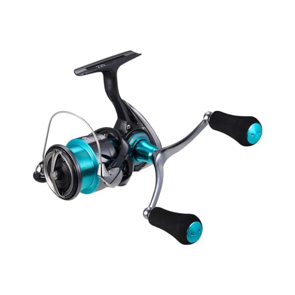 ダイワ(DAIWA) エギング専用木管 24エメラルダス X LT2500-DH