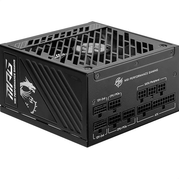 MSI MPG A850GS PCIE5 パソコンワット数社会的単位 850W ATX3.1/PCIe 5.1相応う 80PLUS GOLD公許 フルモジュラー 静音 日本メ