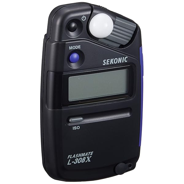 セコニック 見せびらかす計 フラッシュメイト L-308X JE60