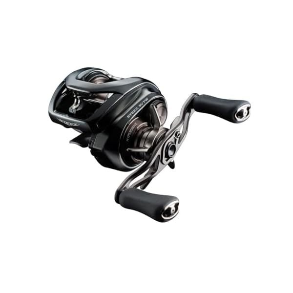 ダイワ(DAIWA) バスベイトリール 24STEEZ(スティーズ) SV TW 100XHL (2024年青写真)