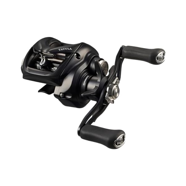 ダイワ(DAIWA) ベイトリール 24TATULA TW 100HL