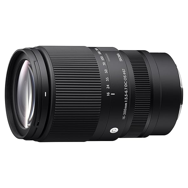 シグマ(Sigma) 水晶体 16-300粍 F3.5-6.7 DC os Sony E マウント 高倍率望遠レンズ 標準尺度 APS-C Cantemporary 鏡鑑