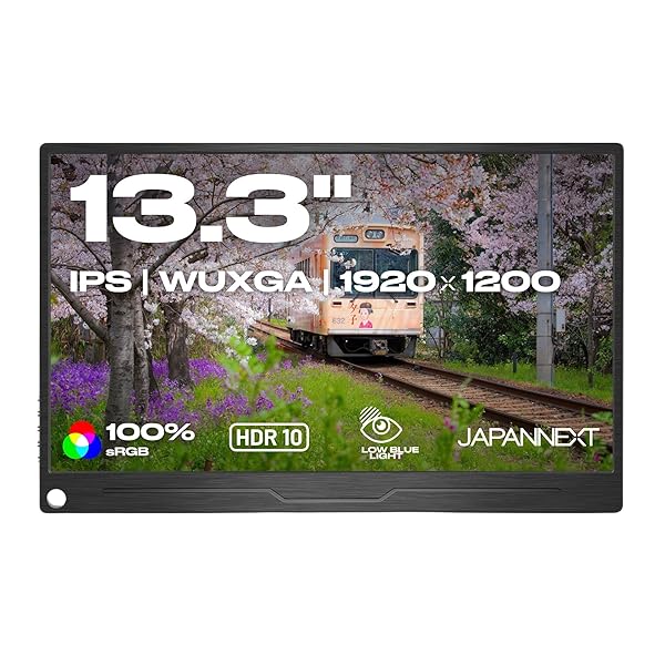 JAPANNEXT 13.3in 可動性管する IPS ダイアログボックス WUXGA 1920x1200解像力 かっこ良い入れもの付き添い人 (USB/Type