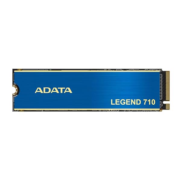 【エイ資料】 SSD LEGEND 710 512GB PCIe Gen3 x4 M.2 2280 最大限度読込速度2400MB/秒 取りはずし能力のあるな熱気