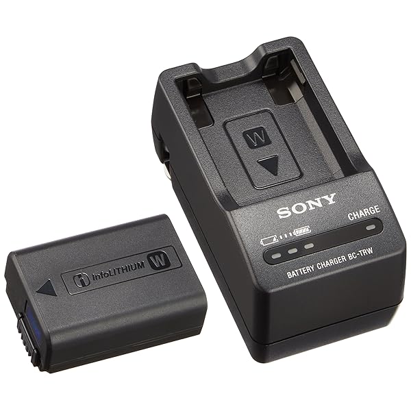 ソニー(SONY) 写真機用乾電池+チャージャーセット ACC-TRW(W乾電池用)