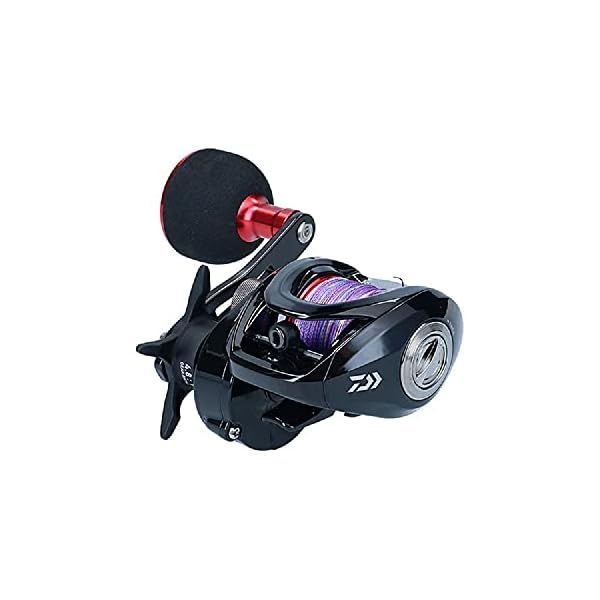 ダイワ(DAIWA) ベイトリール フネ XT 150P-OP PE3号糸付き添い人 黒いこと