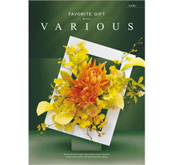 楽天市場】ハーモニック カタログギフト ヴァリアスオスロ33,880円