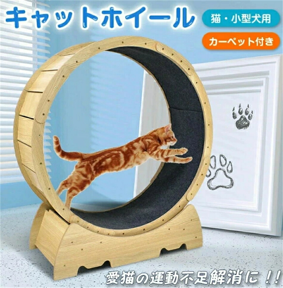 キャットホイール 猫専用御部屋走者 室内運動すること用 猫 8kgまで トレッドミル 猫 銀輪 巻き 自走式 御部屋走者 回し車 ご覧なさる車 安全性のある 運動すること 形づくる 手あそび 駈けっくら 小型犬 愛玩動物機材
