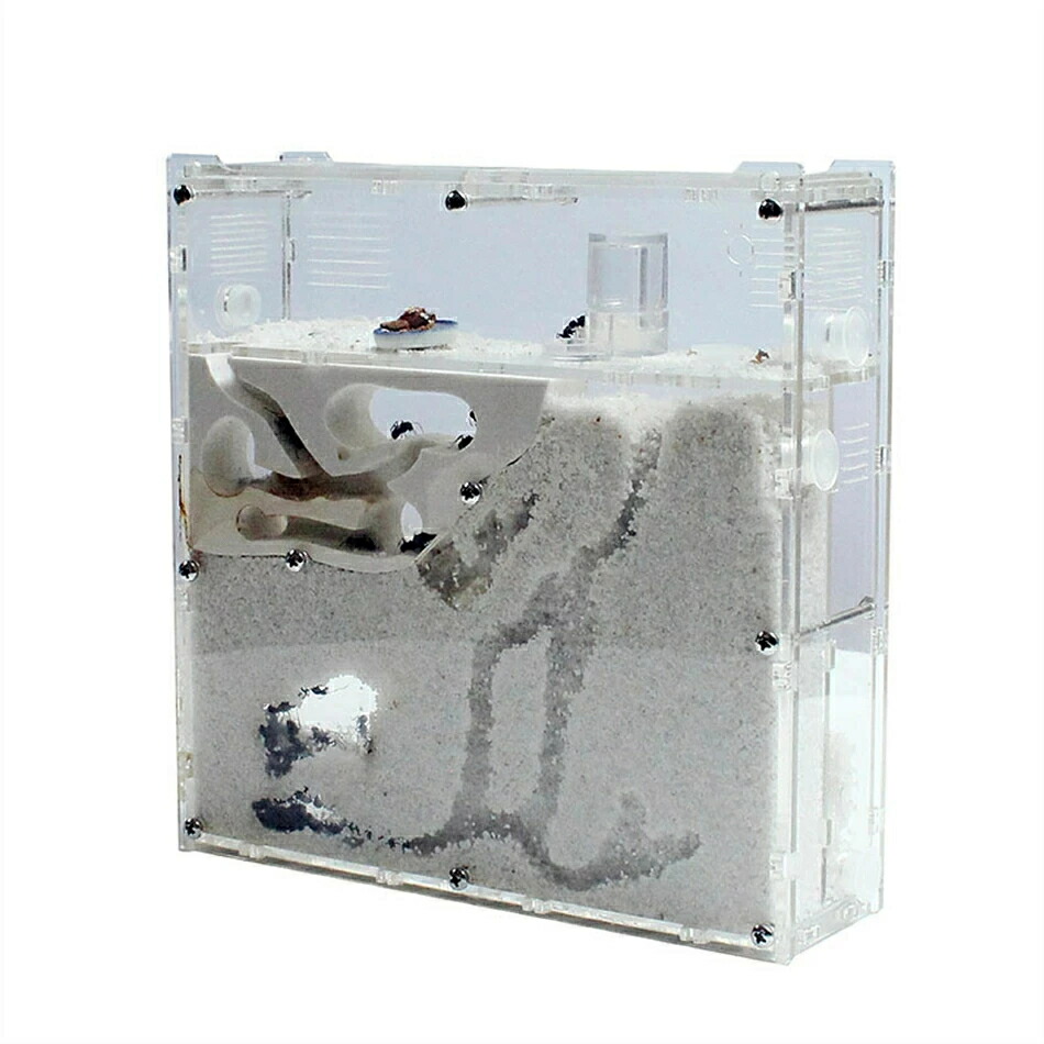 アリ飼育キット 砂巣 爬虫類飼育ケース アリの巣観察キット 科学試験アリ工房の家の生態家屋箱蟻用飼育ケース アリ飼育セット(砂は別売り)