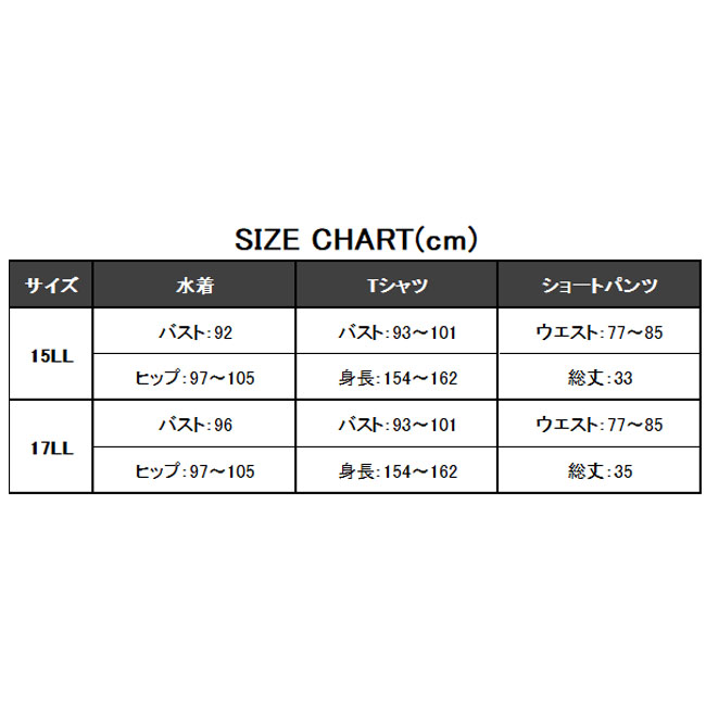 貨物輸送無料 レディース海水着 シリアス号 4科条セス タンキニ 短絡下穿付 ビーチウエアシンプル 快適 お上狙 水着 夏時 スウィミングプール 海原 8108 Doorswindowsstairs Co Uk