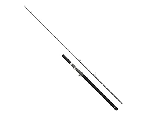 ダイワ(DAIWA) ジギングロッド ヴァデル・Y J60MB・Y 釣り竿 送料無料