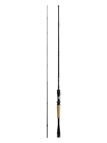ダイワ(DAIWA) 21 ブレイゾン C66M 1ピース ベイトキャスティングモデル 送料無料