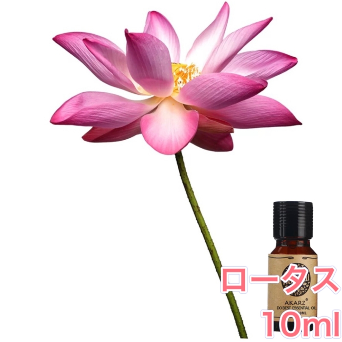 ロータス (ハス 蓮) 精油 10ml アロマ エッセンシャルオイル アロマオイル アロマストーン アロマディフューザー 天然 フローラル 希少 無添加 芳香 ルームフレグランス