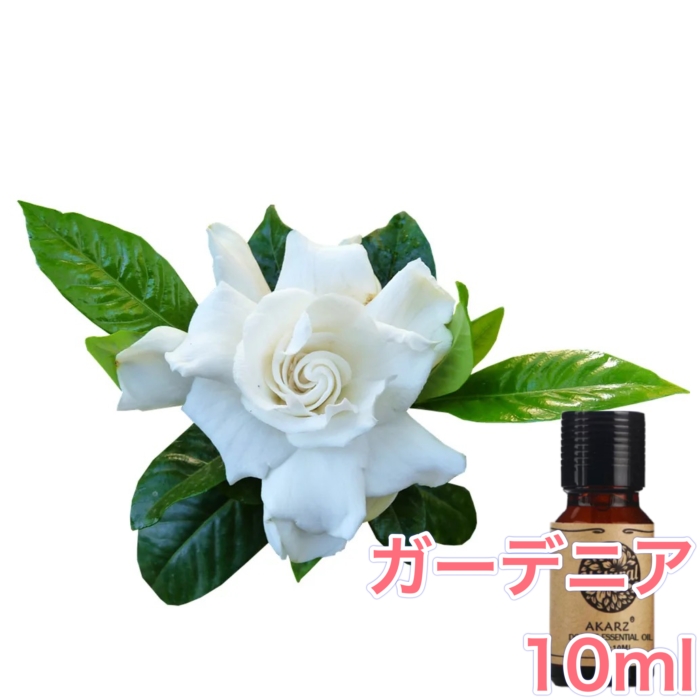 楽天市場】マグノリア (モクレン 木蓮) 精油 10ml アロマ