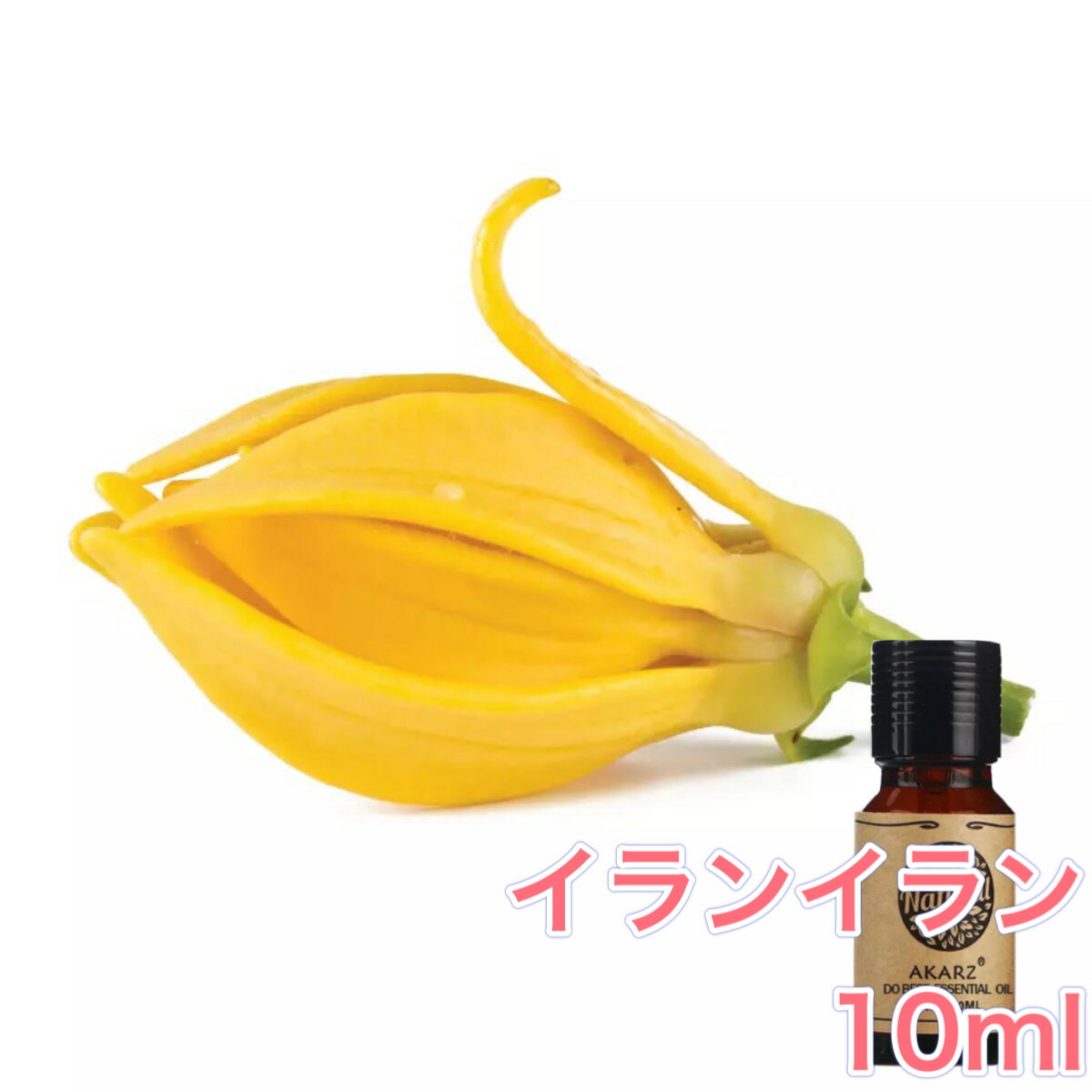 生まれのブランドで イランイラン 精油 10ml アロマ エッセンシャルオイル アロマオイル アロマストーン アロマディフューザー オリエンタル エキゾチック 無添加 芳香 ルームフレグランス