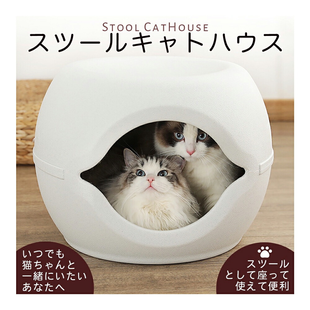 2394円 大放出セール キャットハウス スツール 猫 小型犬 ハウス ペットハウス 椅子 ペット用ハウス おしゃれハウス 耐荷重1kg