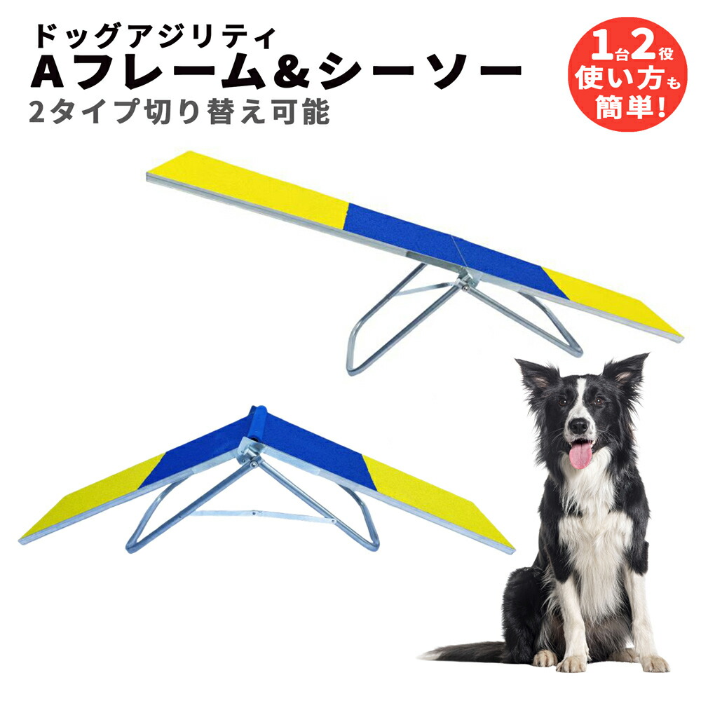 犬用　小型犬　ドッグアジリティ　５点セット 楽天市場】ドッグアジリティ トレーニング 5点セット 練習用