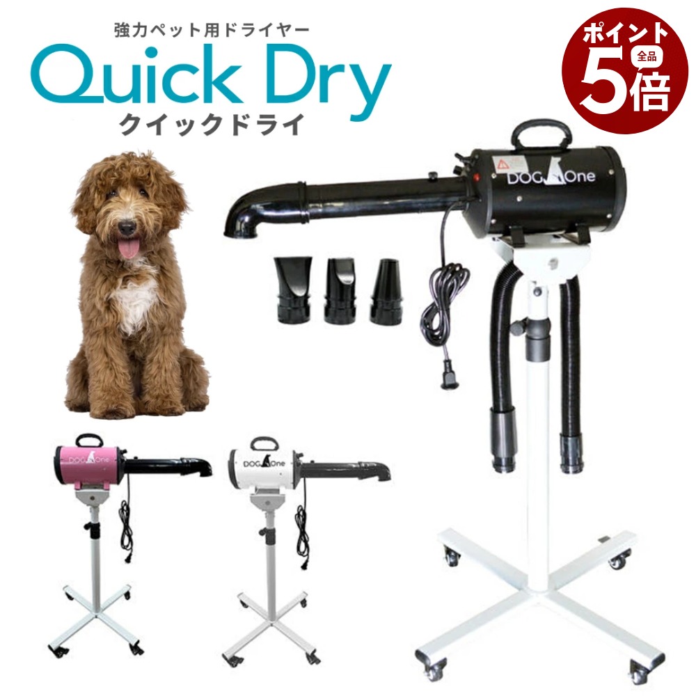 百貨店SALE！  6月4日20:00～6月11日01:59まで執り行なう！