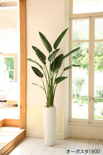 ニセ物翠色 ニコライ 人工草木 トラベラーズパーム 送料無料 フェイクグリーン オーガスタ1600 Seine Harmonie Fr