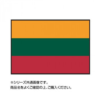 単四電池 お得 3本 おまけ付き イベントなどにおすすめ アイデア 便利 グッズ 140 210cm リトアニア 世界の国旗 万国旗 リトアニア 140 210cm お得 な全国一律 送料無料 創造生活館