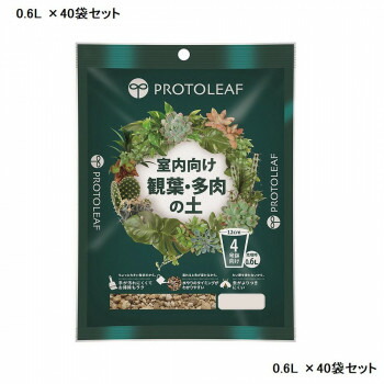 室内での観葉植物と多肉植物の栽培におすすめ!