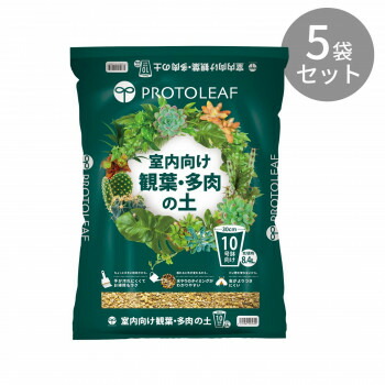室内での観葉植物と多肉植物の栽培におすすめ オープニング 大放出セール 室内での観葉植物と多肉植物の栽培におすすめ オープニング 大放出セール