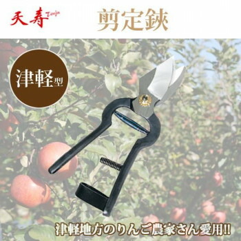 にんき 一般受け おすすめ 定番 冬  春 孫 冬 新やって行く 差し上げ物 寒さ 打つ手 差し上げ物 天寿 切り落とす鋏 津軽型  ガーデニング DIY | かかわり合い言葉 アイデア商いもの 大層らしい 錆 さび 刈込 切り落とす 庭 庭園 雑貨 棚 材木 今めかしい アイディア 助けになる 時短グッズ 刈込 日曜日宮大工