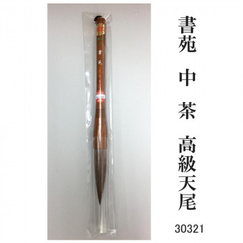 にんき 一般受け おすすめ 定番 冬  春 孫 冬 新生きて行く 差し上げ物 寒さ 打つ手 差し上げ物 30321 書苑 中 茶 御前上等天尾 条幅 カタメ