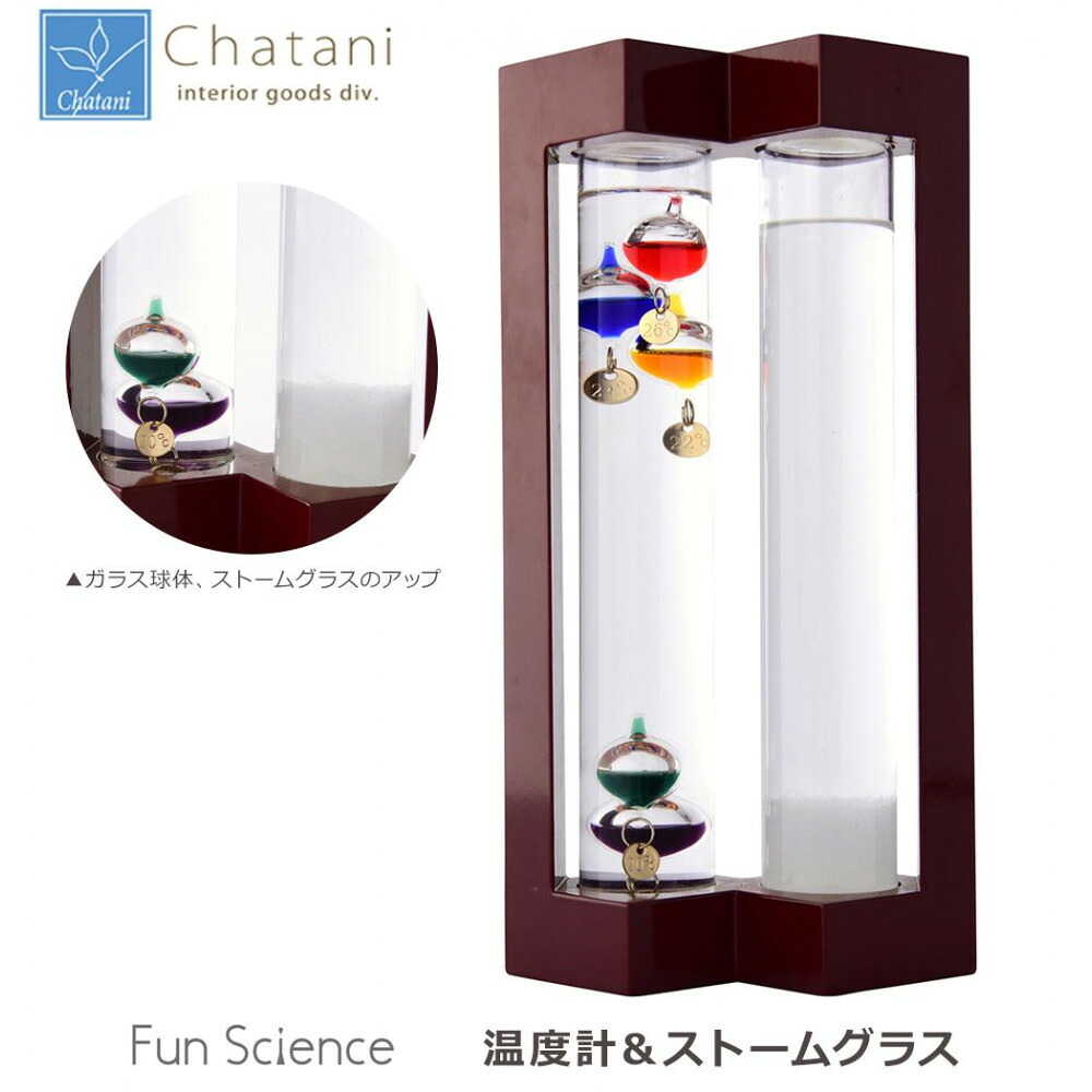 茶谷実業 Fun Science 気違い科学知識 気温計＆狂飆水のみ 333-273 食器 | かかわり合い言葉 お皿 今めかしい 食洗機相応う 差し上げ物 割れにくい 茶碗 書き割り 北欧 洋食器 小鉢 丸皿 お客さん用 軽さ 瀬戸もの 和風 今めかしい 寄り合い 陰電子領域相応う 吸いものどんぶり鉢 優勝杯 薄型