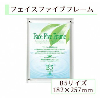 にんき 人気 おすすめ 定番 冬 春 孫 冬 新生活 ギフト 寒さ 対策 プレゼント A.P.J フェイスファイブフレーム B5(182×257mm)対応 クリア 0030736671