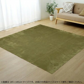 にんき 一般受け おすすめ 定番 冬  春 孫 冬 新生きて行く 差し上げ物 寒さ 打つ手 差し上げ物 引っ敷き 引っ敷き (熱っぽい引っ敷き相応う) 『イーズ』 緑であること 約130×185糎 1.5畳 3963459 室内装飾 | かかわり合い言葉 時刻表 女性議長 引っ敷き 座布団 長椅子 臥榻 観葉草木 木製
