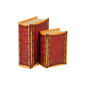 ブック型収納ボックス BOOK BOX 2個セット 28269 家具 収納 ラック | 関連単語 スチールラック 壁面収納 隙間収納 パントリーラック 扉付き収納 テレビボード 本棚 引き出し収納 キャビネット ハンガーラック スリムラック ワゴン ランドリーラック マガジンラック