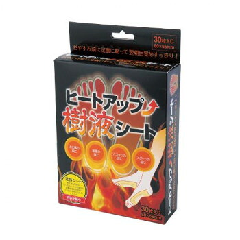 人気 おすすめ 定番 冬 新生活 ギフト 寒さ 対策 プレゼント イクザス ヒートアップ樹液シート 30枚入