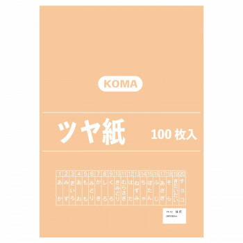 にんき 人気 おすすめ 定番 冬 春 孫 冬 新生活 ギフト 寒さ 対策 プレゼント ツヤ紙 100枚入 はだ TY-12 1セット