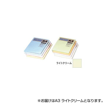 オストリッチダイヤ ニューファインカラーPPC用紙 A3 ライトクリーム 500枚入 FRC5-A3 人気 おすすめ 文具 筆記 備品| 関連単語 ボールペン 万年筆 カッター テープフ ァイル 封筒 はさみ ビジネス鉛筆 ペン 絵具 セット シャープペン 絵の具 スマッシュ オレンズ