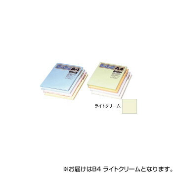 オストリッチダイヤ ニューファインカラーPPC用紙 B4 ライトクリーム 500枚入 FRC5-B4 人気 おすすめ 文具 筆記 備品| 関連単語 スマッシュ 写真 美術 オレンズ ネロエナージェル 水彩 色 クレヨン 筆 ペンケリー 書道 筆 えんぴつ オフィス 事務 用品 学用品