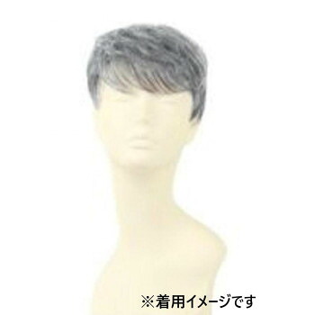 プリシラ 男性用5分ウィッグ ボリュームショート 耐熱 グレイヘア GB-23-TGH 髪 髪の毛 ヘアー 頭皮 美容 抜け毛 枝毛 | 関連単語 ヘアケア用品 ヘアブラシケア ヘアオイルトリートメント 髪の手入れ用品 髪を整えるケア用品 頭皮清潔ケア 頭皮コンディション｜創造生活館